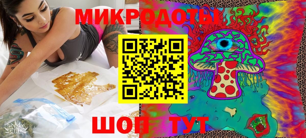 Псилоцибиновые грибы Cubensis  Вход с VPN  Горно-Алтайск 