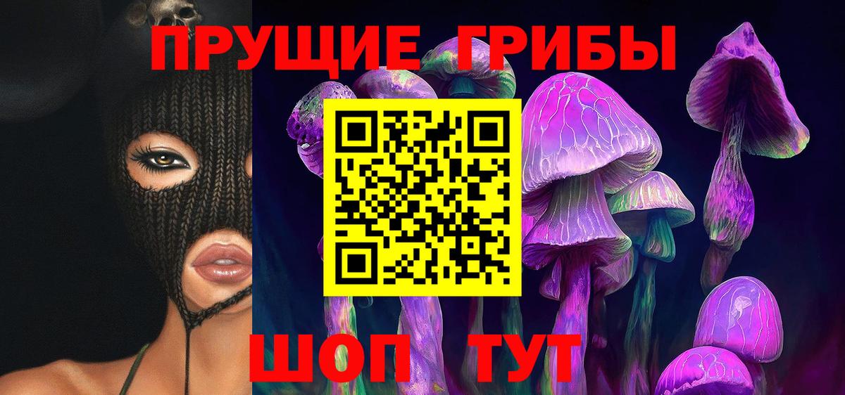 Галлюциногенные грибы MAGIC MUSHROOMS Горно-Алтайск